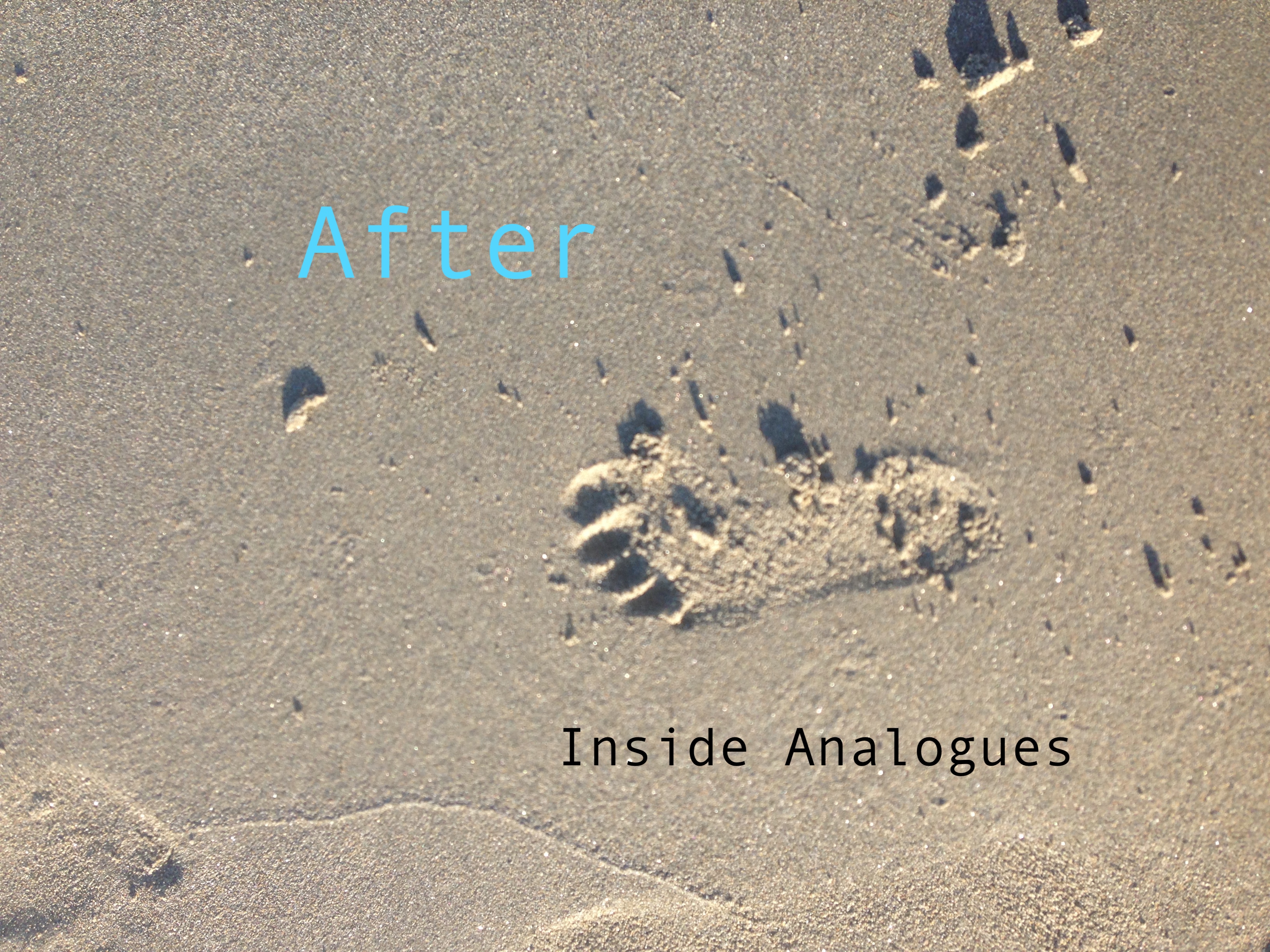 After — Inside Analogues