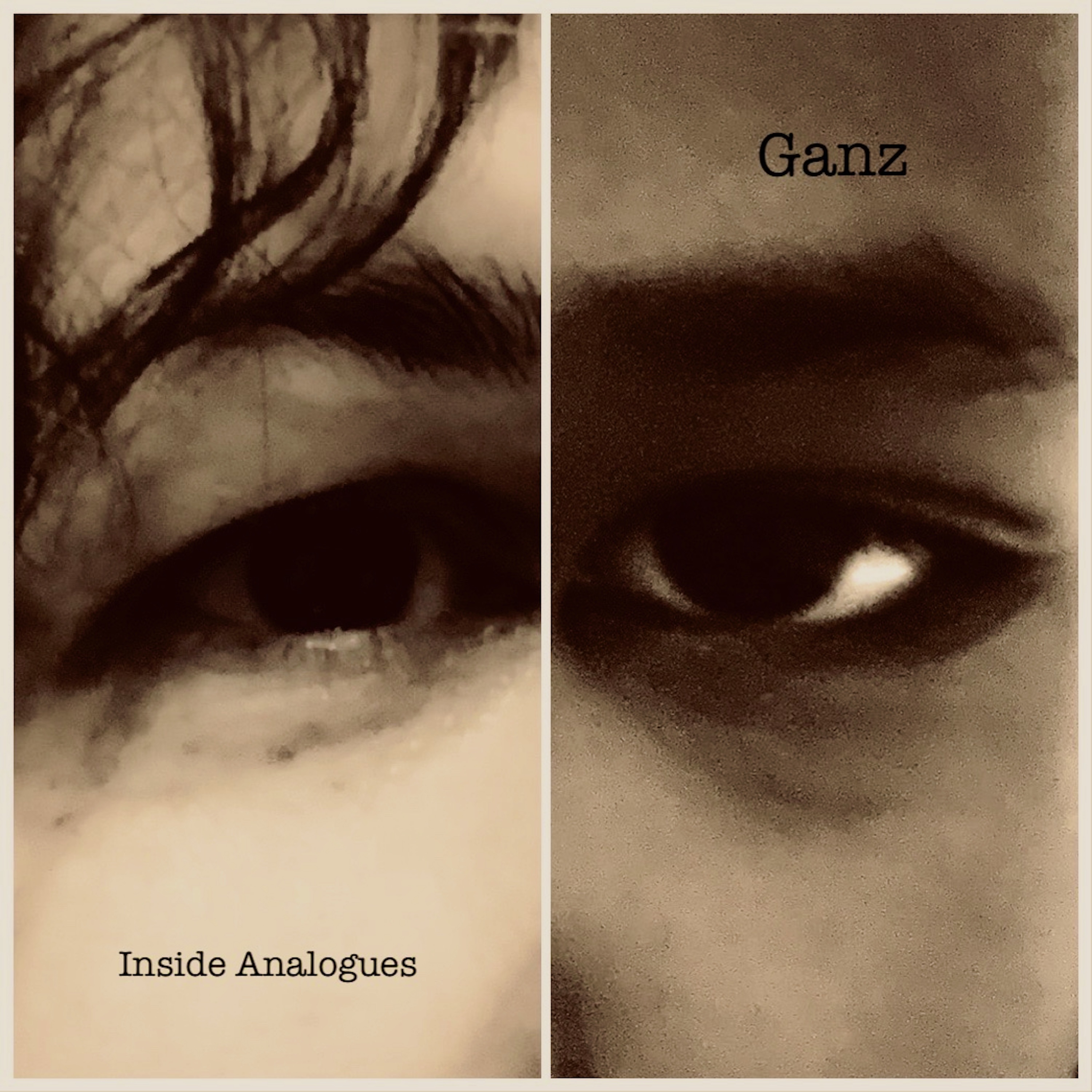 Ganz — Inside Analogues